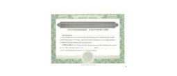LLCBLANK - LLC Certificate Blank